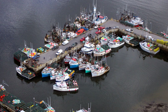 dennis_point_2