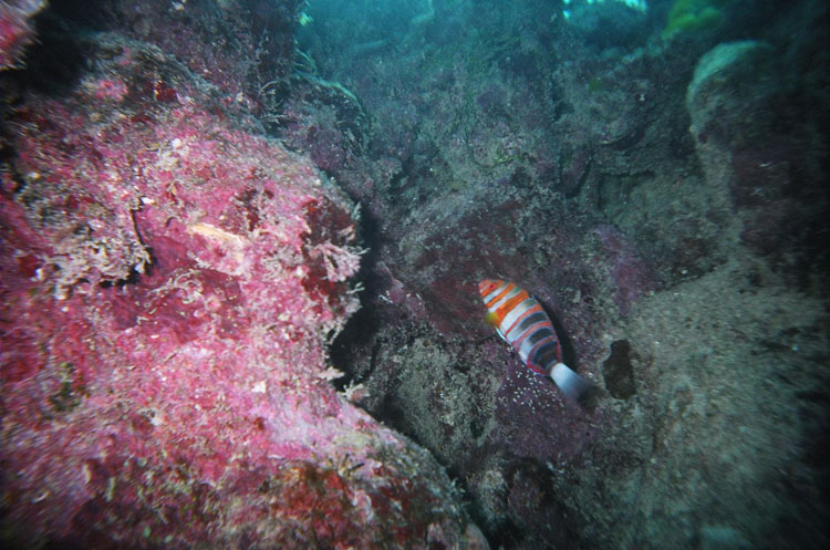 P1020162_b014_9A