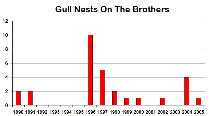 Gull Nests Removed