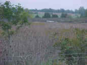 damarea.jpg (55051 bytes)