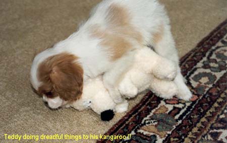 dreadfuldoings