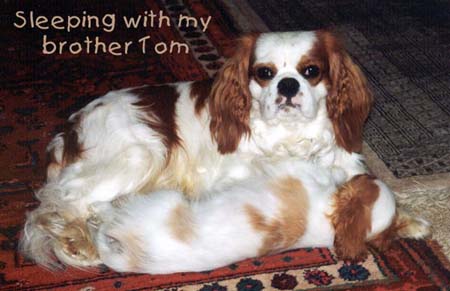 withTom