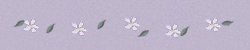 flower divider