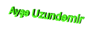 Ayseuzundemir.gif (26783 bytes)