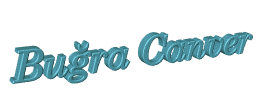 Bugracanver.gif (63809 bytes)