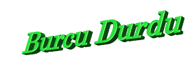 Burcudurdu.gif (54837 bytes)