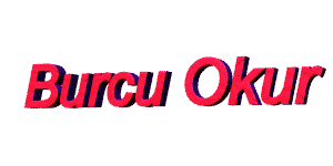 Burcuokur.gif (73219 bytes)