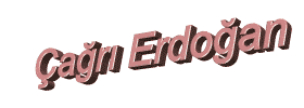 Cagrierdogan.gif (32292 bytes)
