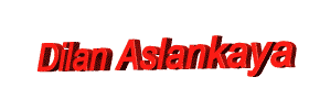 Dilanaslankaya.gif (23576 bytes)