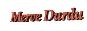 Mervedurdu.gif (65535 bytes)