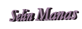 Onursolmaz.gif (71681 bytes)