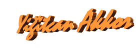 Yigitcanakkor.gif (69727 bytes)