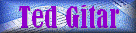 tedgitarlogo.gif (8321 bytes)