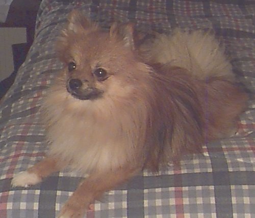 Nakita