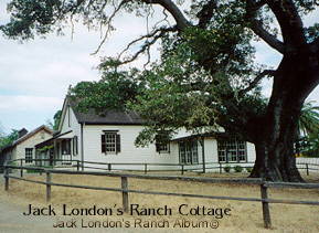 Jack London Ranch Cottage
