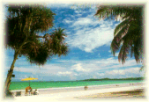 Pattaya Beach