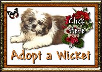 You must adopt one!