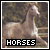 horses fan!