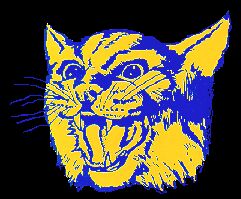 WILDCATS!!!