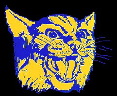 WILDCATS!!!