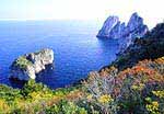 Isola di Capri-Costa Caprese