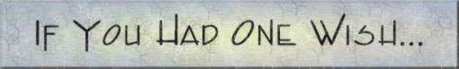 If you had one wish...
