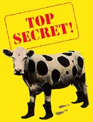 Top Secret! poster