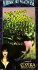 The Giant Gila Monster