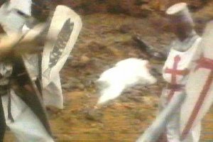 The rabbit attacks