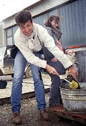 Bosnia people photos 2