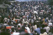 kisangani camp