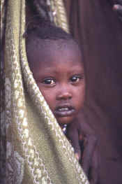 turkanana_boy.JPG (211615 bytes)