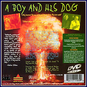 boy dog.2