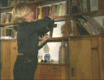 p11513.gif
