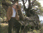 p1185.gif