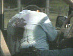 p13824.gif