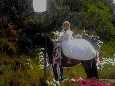 BrRiWed1.jpg (10418 bytes)