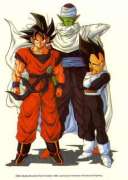 Goku, Piccolo and Vegeta