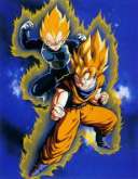 SSj Goku and SSj Vegeta