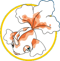 Goldeen: �gua