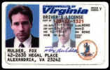 license.jpg (21075 bytes)