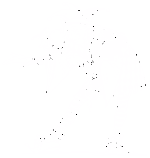Jester