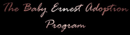 The Baby Ernest Adoption Program