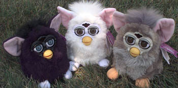 /user/furbies3.jpg