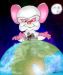 Brain rules the world!
