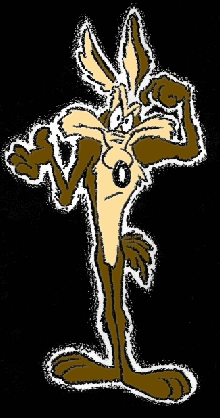 LA-C0Y0tE!!