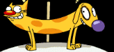 CatDog