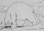 Gertie