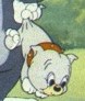 Tyke