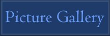 Picture Gallery